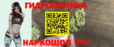 соль курить ск Кингисепп