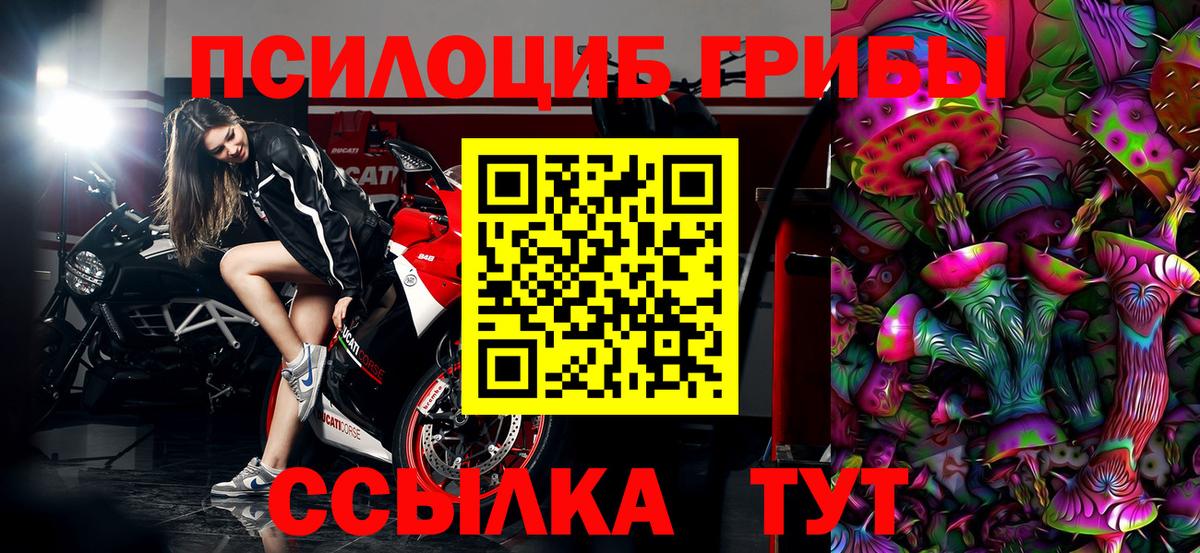 купить  цена  Вход с VPN  Кузнецк  Галлюциногенные грибы GOLDEN TEACHER 